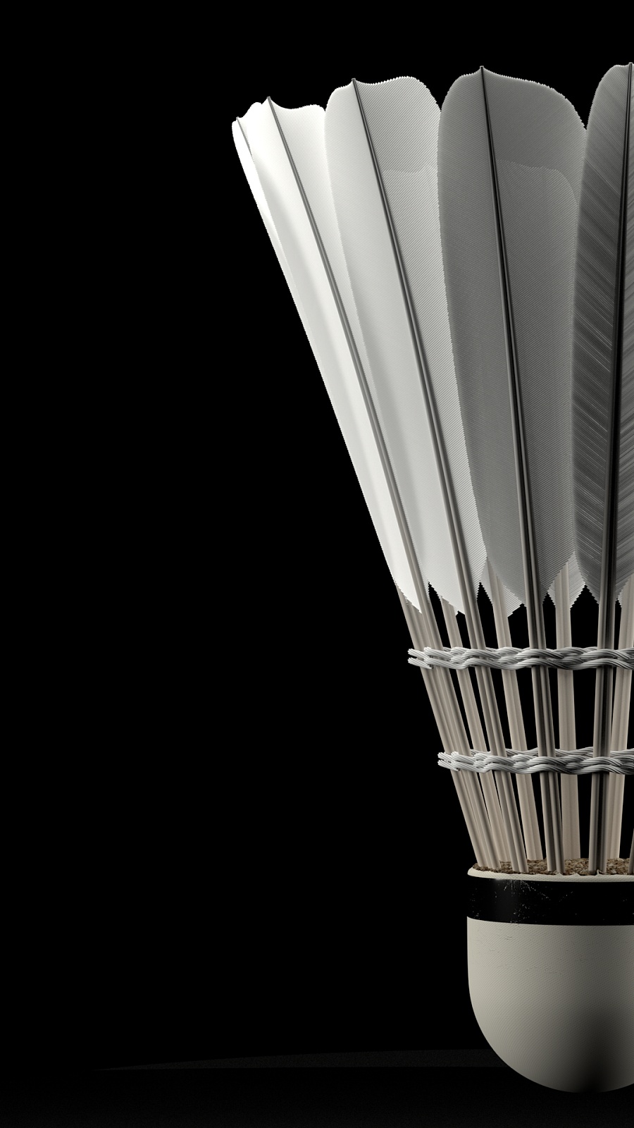 而他的回归 而他的回归